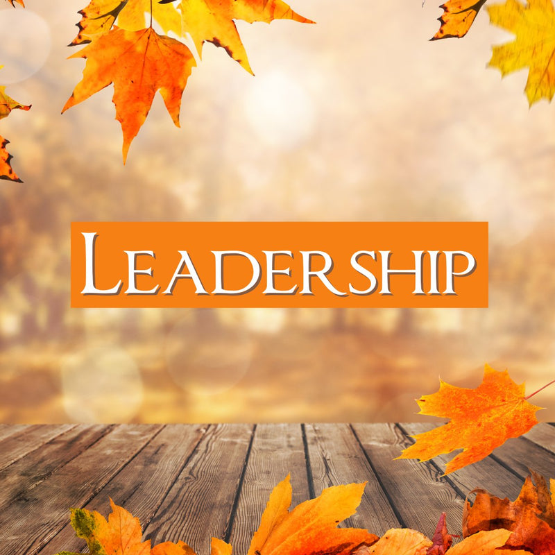 Leadership | IlluminationPublishers