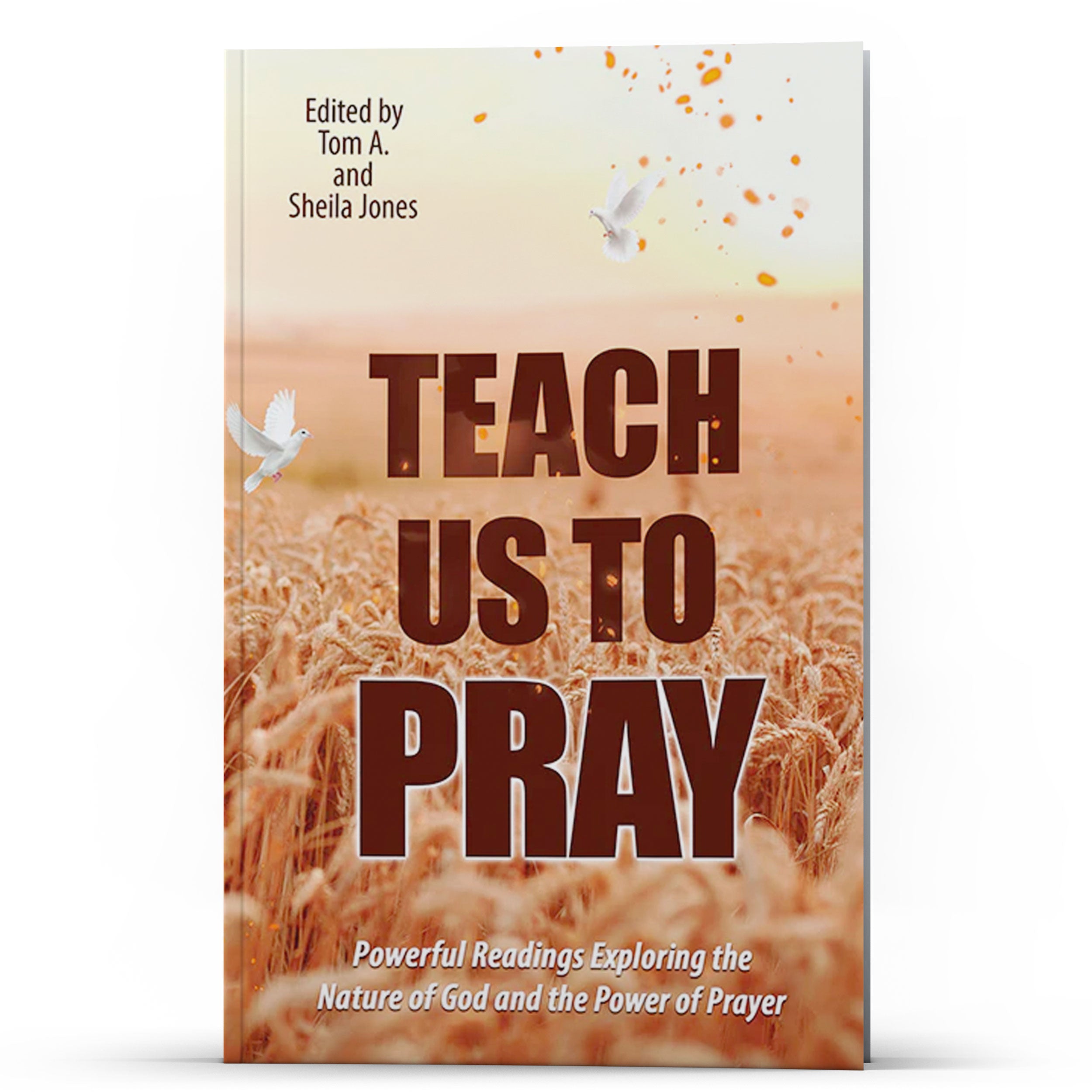 Teach Us To Pray (Daily Power Series) - Illumination Publishers