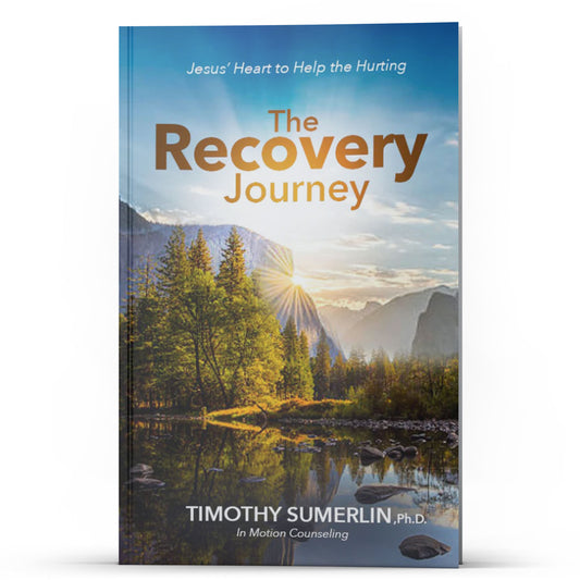 The Recovery Journey PDF (Lagos Only) - Illumination Publishers