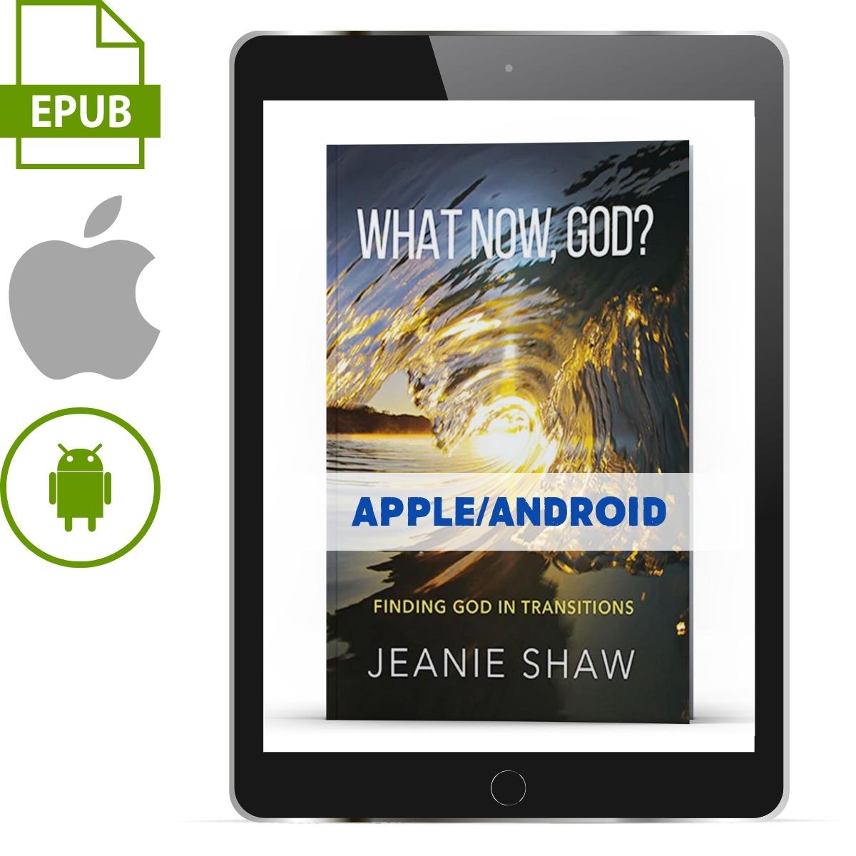 What Now, God? Finding God in Transitions (Apple/Android ePub) - Illumination Publishers