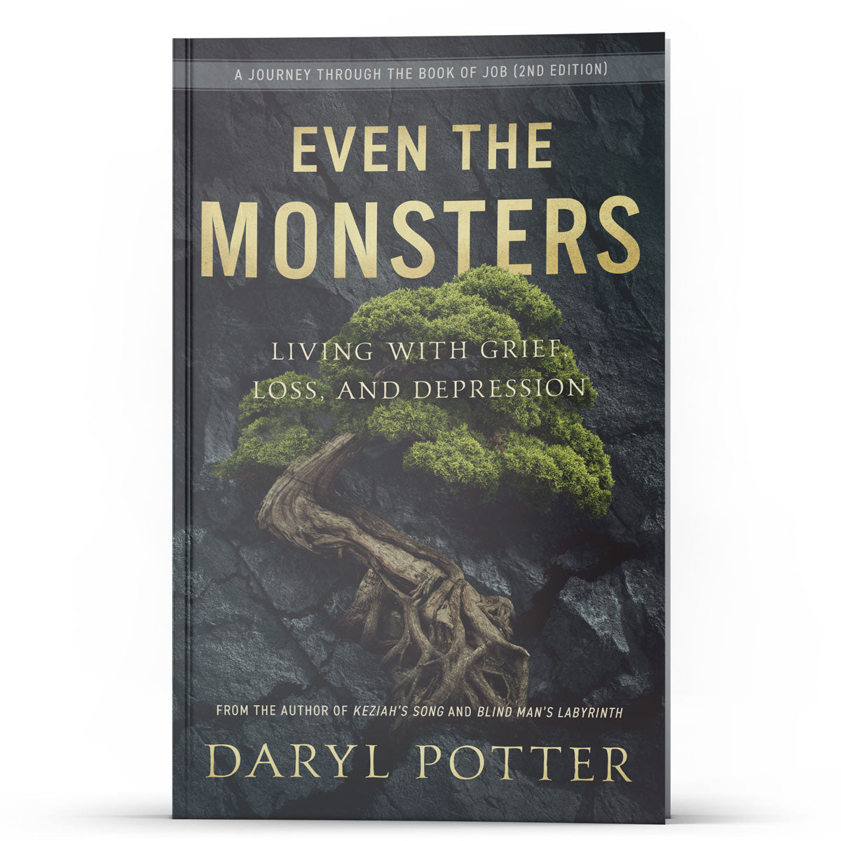 Even The Monsters: Living with Grief, Loss and Depression - Illumination Publishers