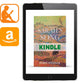 Sarah's Song Kindle - Illumination Publishers