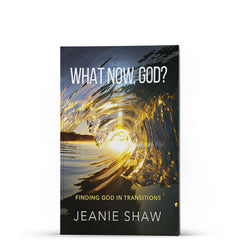What Now, God? Finding God in Transitions - Illumination Publishers