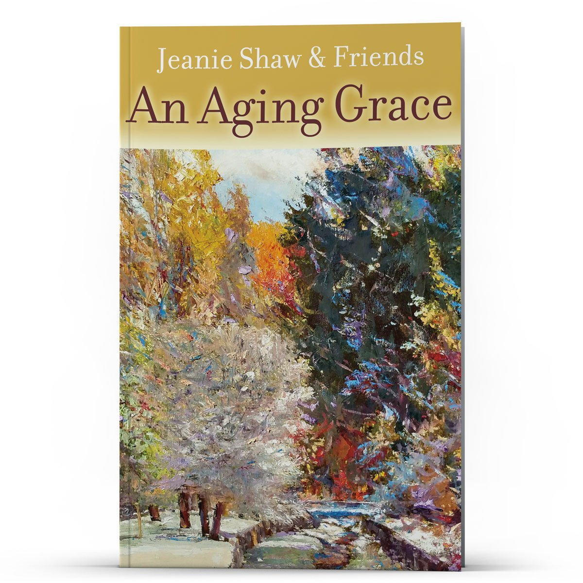 An Aging Grace - Illumination Publishers