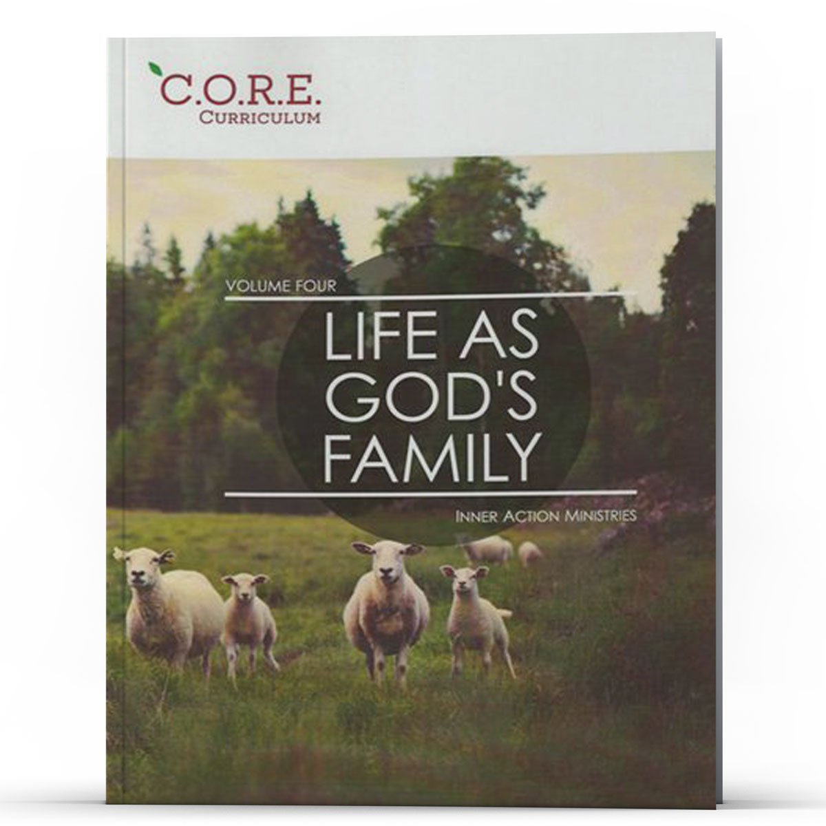 CORE Curriculum Volume 4 Life As God's Family - Illumination Publishers