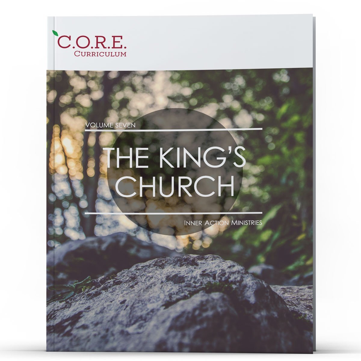 CORE Curriculum Volume 7 The King's Church - Illumination Publishers