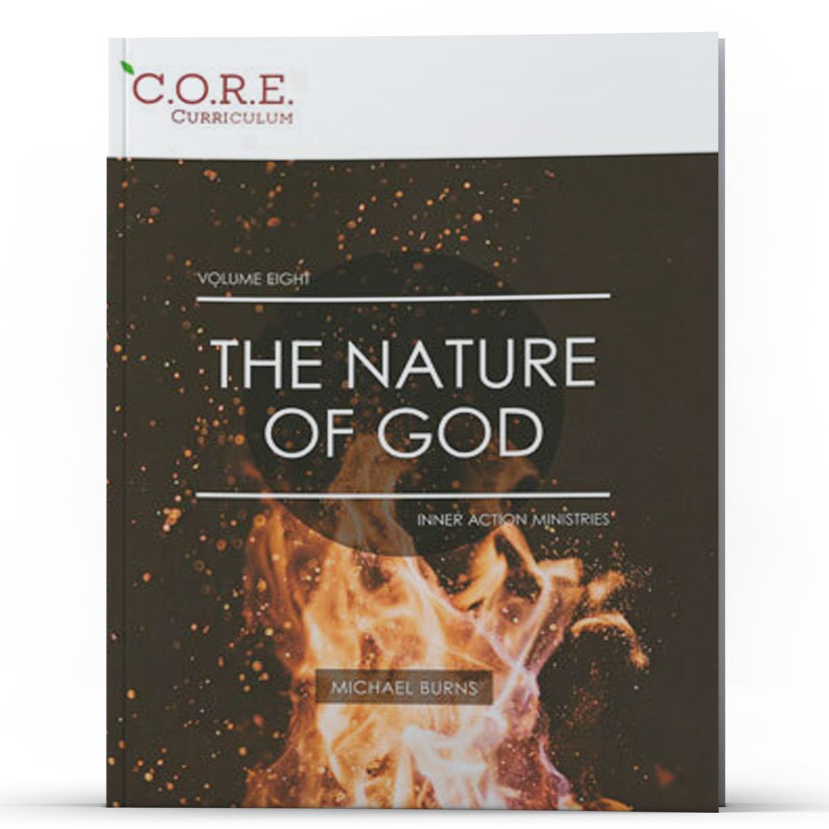 CORE Curriculum Volume 8 The Nature of God - Illumination Publishers