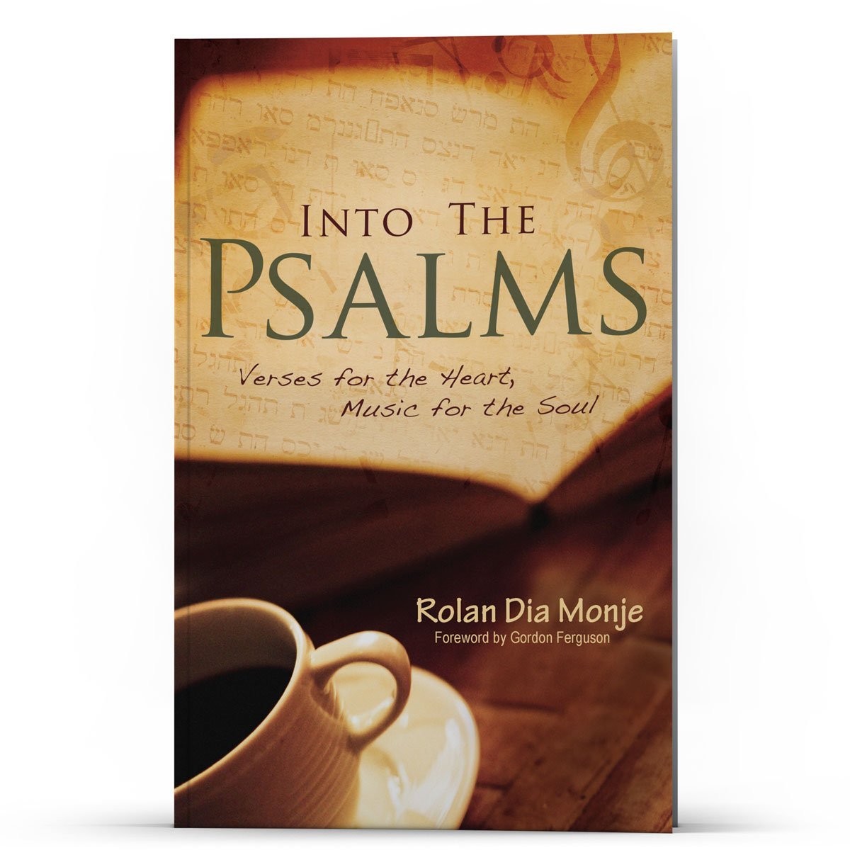 Into the Psalms - Illumination Publishers