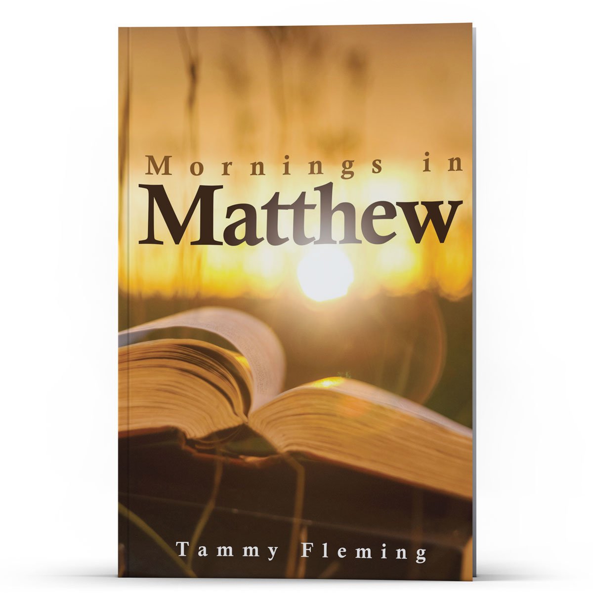 Mornings in Matthew - Illumination Publishers