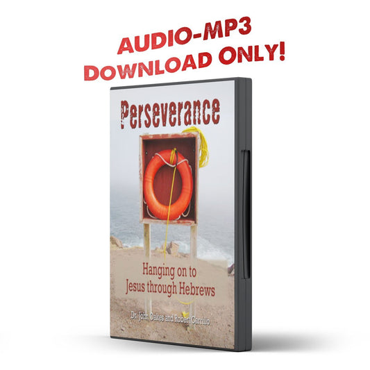 Perseverance: Hanging on to Jesus through Hebrews - Illumination Publishers