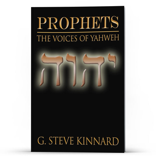 Prophets I The Voices of Yahweh - Illumination Publishers