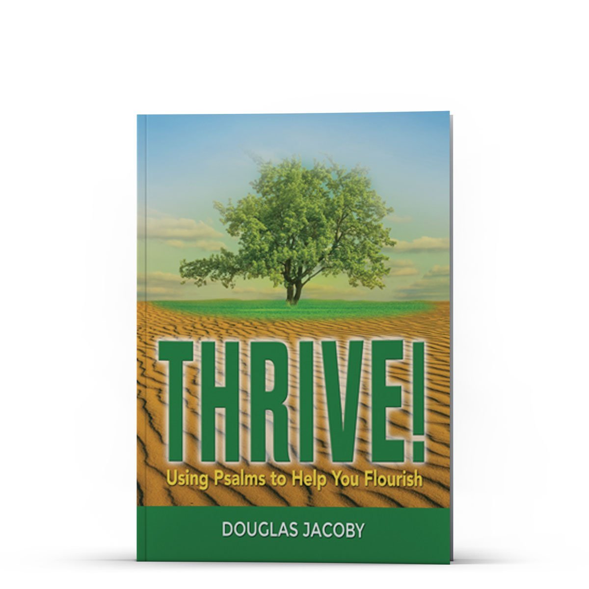 THRIVE: Using Psalms to Help You Flourish - Illumination Publishers